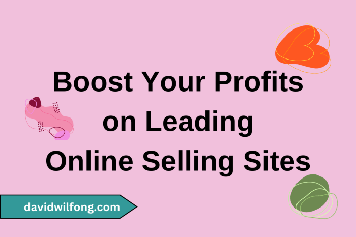 How to Maximize Profits Selling Online Today