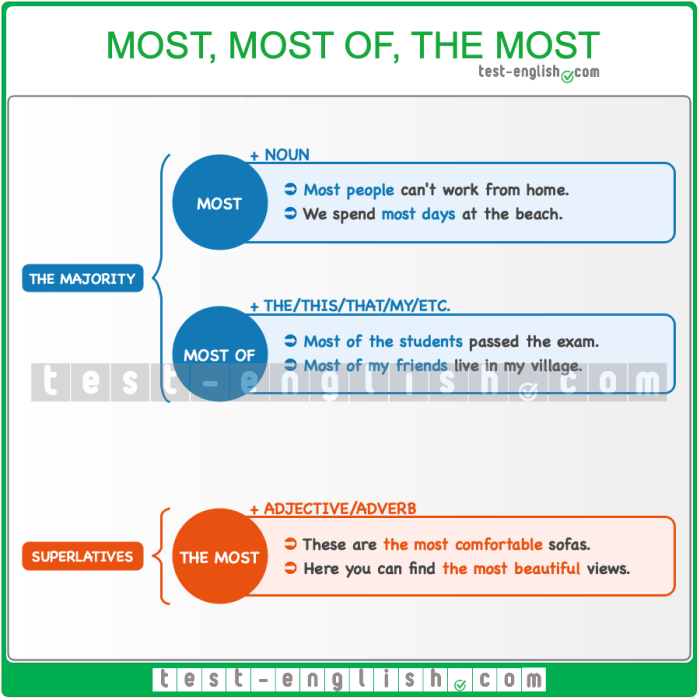 Most, most of, the most - Test-English Most Popular Skateboard Brands You Can Buy Today