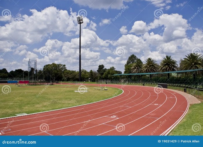 Running Track, Start And Number Line Stock Photo | CartoonDealer.com ... How to Track Your Crypto Transactions and Portfolio Performance